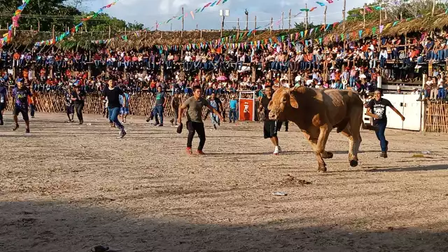 El evento dejó a cuatro personas lesionadas al ser embestidas por los bovinos en el redonde