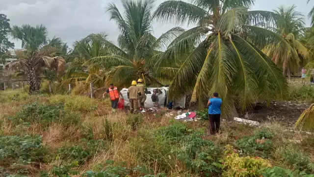El chofer de la camioneta salió ileso, pero su vehículo quedó en una zona enmalezada