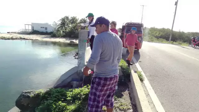 En los últimos días los reptiles se han dejado ver dentro de las rías, áreas donde las personas acuden a pescar o nadar