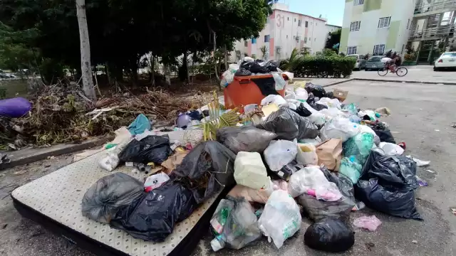 Una recolectora de pet, advirtió al equipo Por Esto! qué la basura acumulada en esta zona tiene al menos tres semanas