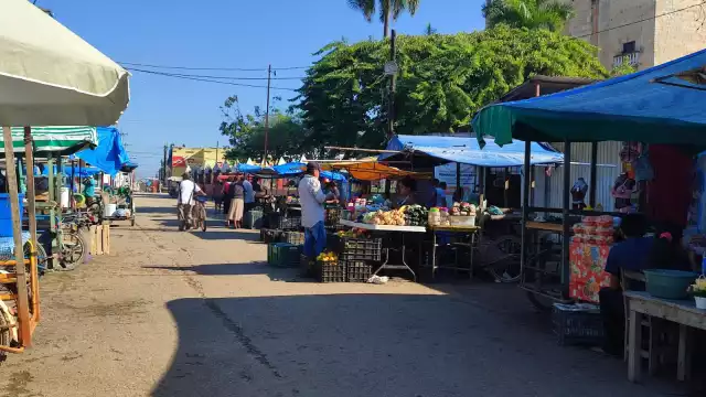 Los agricultores indicaron que a pesar de que han subido los costos de la verdura, los clientes la siguen pidiendo