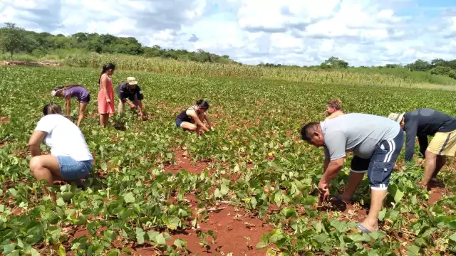 Padre, hijos y nietos, ayudan a regar las plantas y distribuir el producto en la comunidad