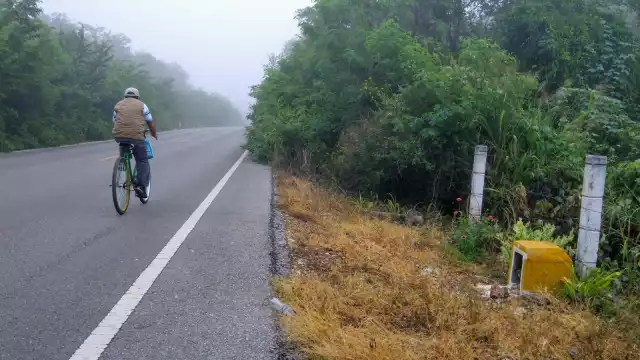 Los lugareños que pasan por el lugar señalan que en la cavidad todas las mañanas aparecen flores