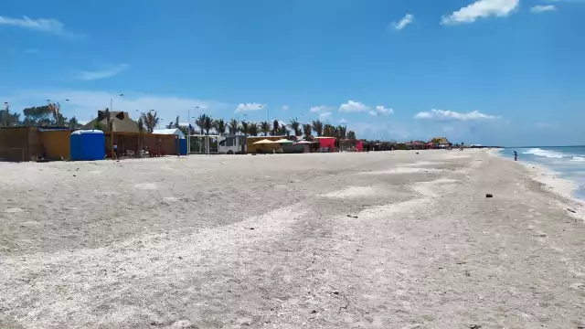 Las dunas funcionan como área de reproducción de tortugas marinas y al desaparecer, su reproducción peligra