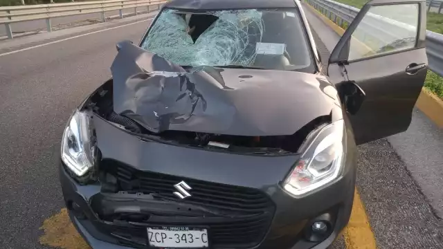 El responsable del accidente se quedó en el lugar para pedir auxilio