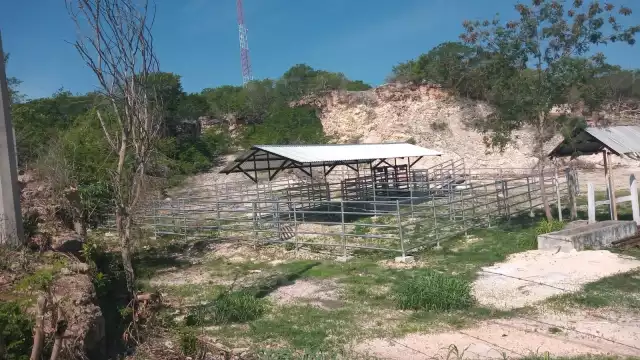 Las naves y el domo sólo entraban en funciones una vez al año, lo demás quedó en el olvido, como las oficinas