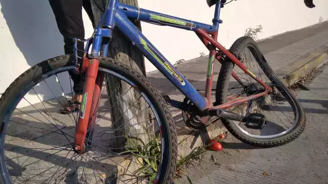 Después de atropellarlo, el caso se resolvió con un pago de 700 pesos