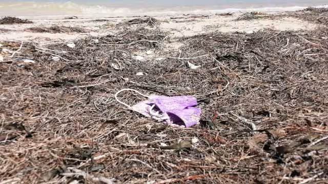 Bañistas inconscientes dejan cubrebocas en playas