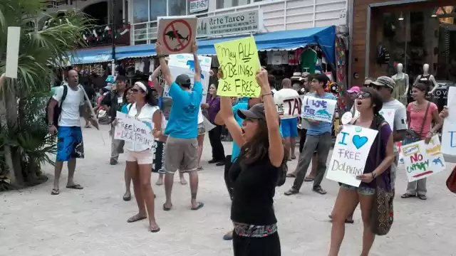 Como parte de un movimiento internacional, el 11 de mayo se realizará una protesta en el Hotel Barceló Grand Maya
