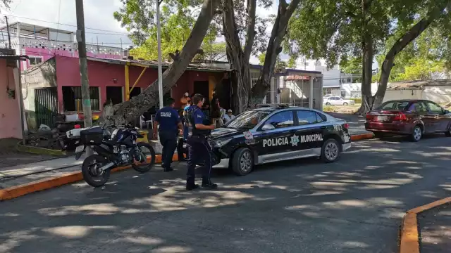 La unidades se desplegaron en la colonia