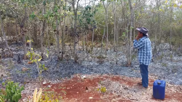 Cenobio Cen, responsable del lugar, señaló que el siniestro inició en los terrenos de la exmaquiladora, a la entrada del poblado