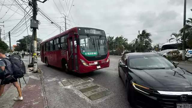 La mujer murió luego de que el camionero la atropellara