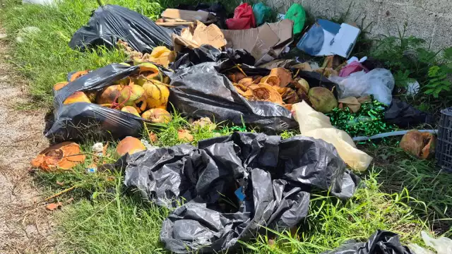 Olores insoportables y basura invaden calle de la colonia Lázaro Cárdenas
