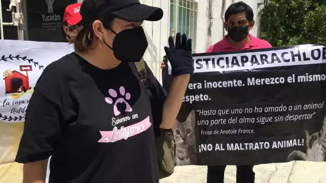 Las animalistas pidieron justicia por los animales asesinados por la enfermera de la T1