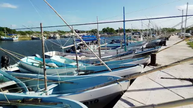 Los hombres de mar esperan poder pescar producto de escamas para así generar ingresos, hace ya dos semanas que están varados en el Puerto de Abrigo