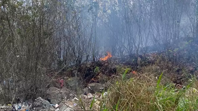 El incendio en Felipe Carrillo Puerto habría comenzado por quema de basura