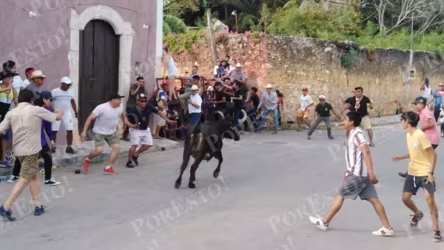 Los animales bravos pasaban a cornear a los aficionados taurinos