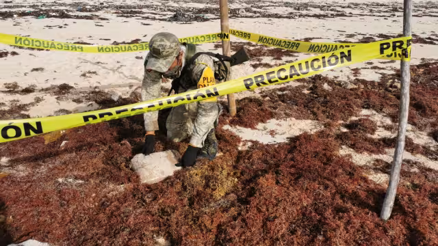 El pasado 27 de agosto se generó el mayor aseguramiento de droga por recale: 57 paquetes