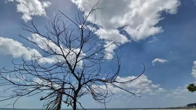 Onda tropical 16 traerá lluvias y calor extremo a la Península de Yucatán