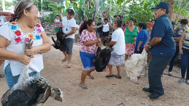 La Danza del Pavo es una tradición de Tizimín