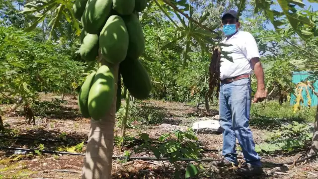 Impulso Orgánico Mexicano está respaldada por la Secretaría de Agricultura y Desarrollo Rural y promueve la exportación de productos