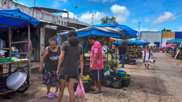 La toronja es el cítrico más caro en mercados de Yucatán