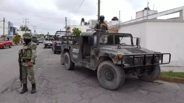 Se presume que el cultivo lo realiza un grupo criminal que opera en esa zona de Cancún