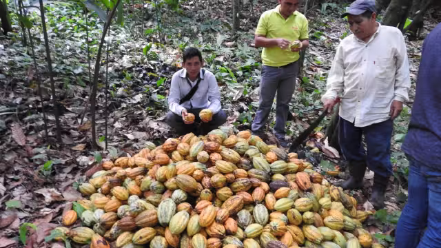 Se tratarán temas enfocados a la seguridad alimenticia y al cambio climático