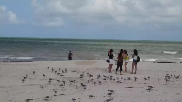 El malecón de este puerto continúa cerrado en este sábado de octubre, donde debido a los efectos meteorológicos no fue notoria la presencia de bañistas