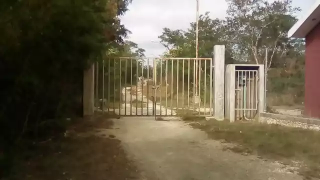 El lugar incluye una vivienda donde el dueño ya indicó que, mientras se le pague como debe ser, está dispuesto a mudarse sin mayores problemas