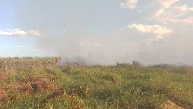 El incendio consumió varios campos de maiz y terrenos