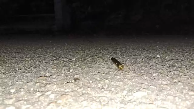 Disparos fueron reportados en el municipio de Felipe Carrillo Puerto en Quintana Roo