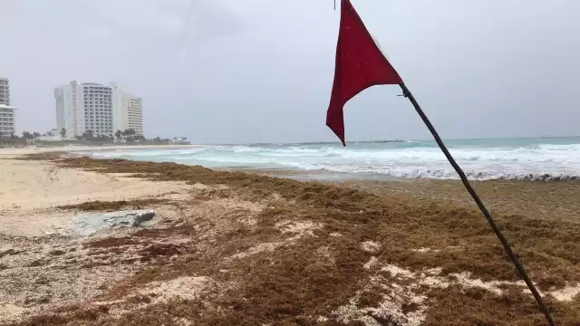 Usuarios en redes se burlan de las playas con sargazo en Quintana Roo
