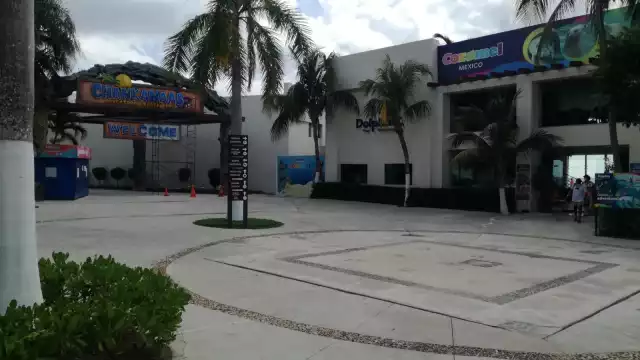 Se espera reanudar actividades tentativamente el día viernes 20 de agosto o hasta nuevo aviso