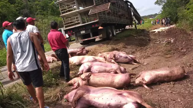 Los pobladores aprovecharon la situación y empezaron la rapiña