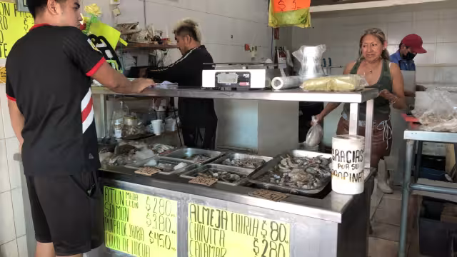 La calcomanía siempre será de color amarillo; sólo cambia la estacionalidad, es decir, el año y el semestre
