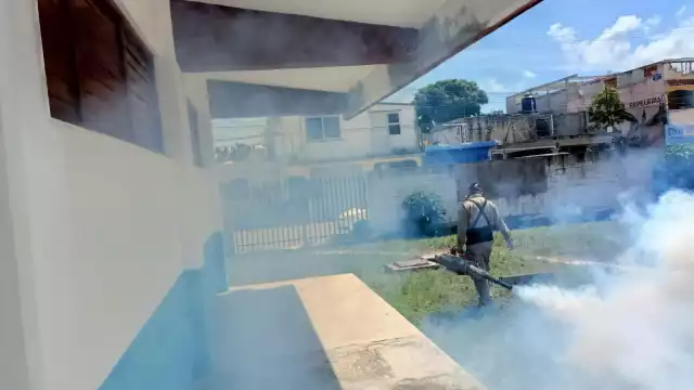 Esta sanitizacion y nebulización en estos espacios son importantes para mantener la estabilidad de las familias y en algún caso, los turistas