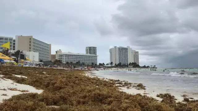 El arribo de sargazo en Quintana Roo se mantiene en Categoría 8, que significa excesivo, según indicó la Semar a principios de Maya
