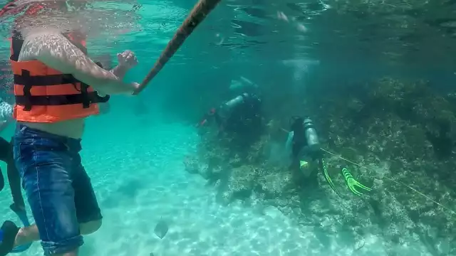 Península de Yucatán concentra el 15.1% de las Áreas Protegidas Naturales en México