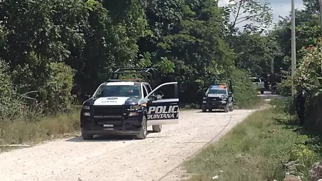 Fueron los vecinos quienes dieron parte a las autoridades