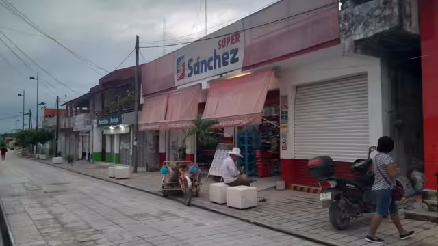 El propietario decidió no denunciar el robo de sus productos