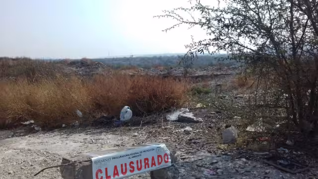 Hasta el momento en la Península se han clausurado cinco espacios de crianza de puercos