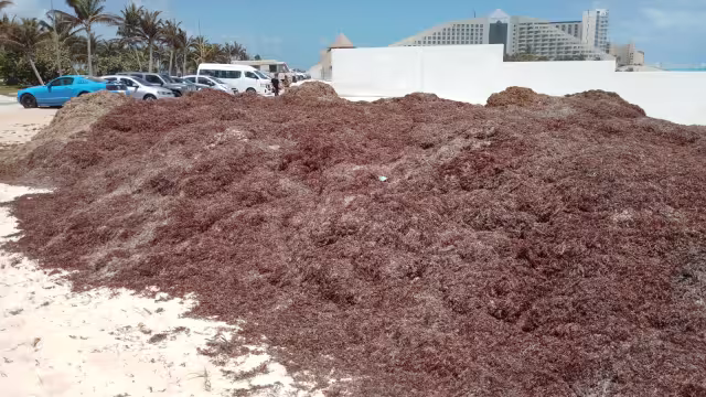 El 4 de octubre se hará la presentación oficial de los lineamientos que entrarán en vigor en la Entidad, con la opinión de 60 especialista