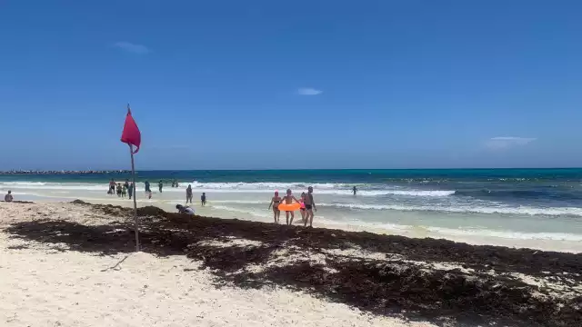 El sargazo ha causado afectaciones en playas de Cancún