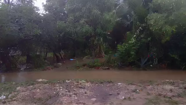 Algunas zonas del Sur de Quintana Roo presentan inundaciones y lodo causado por las lluvias que cayeron en horas pasadas