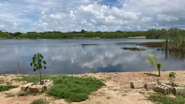 'La Sabana' presentó un aumento en el nivel del agua derivado a las lluvias causadas por la Onda Tropical 23 en la Zona Sur de Quintana Roo