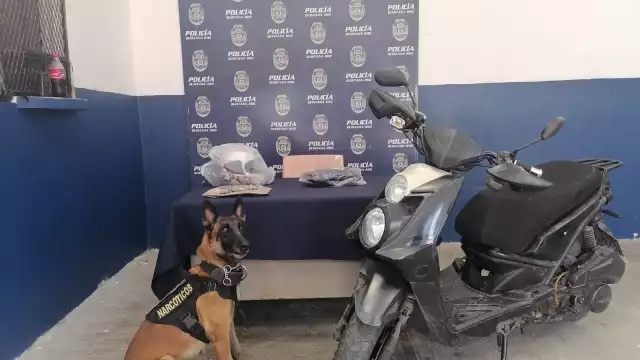 Un ciudadano señaló a un sujeto que se alejaba en una motocicleta como la persona que minutos antes había intentado asaltarlo