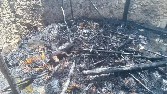 El lugar quedó destgruído por completo. Foto: Alejandro Colli