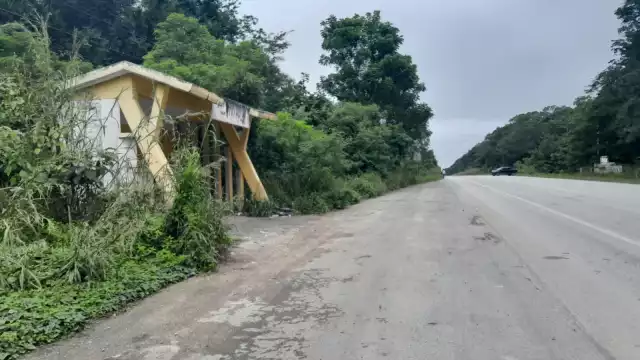 Los paraderos están escondidos entre la maleza y sin iluminación