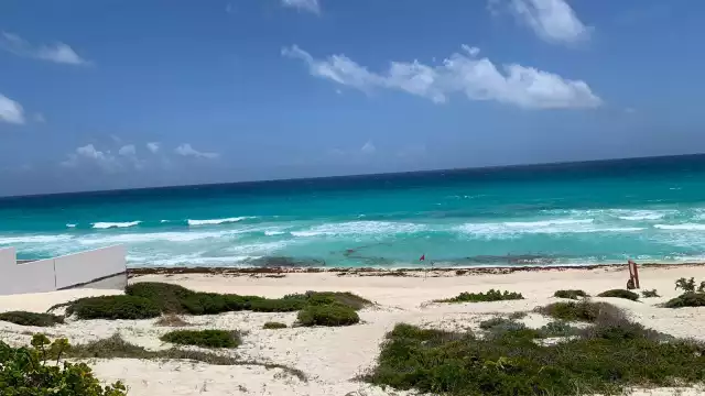 El recale de sargazo en Cancún ha colocado a la ciudad en el color amarillo del Semaforo de arribo del alga de la Semar